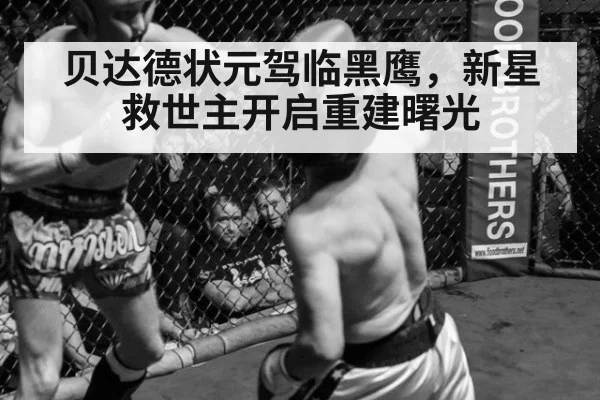 贝达德状元驾临黑鹰，新星救世主开启重建曙光